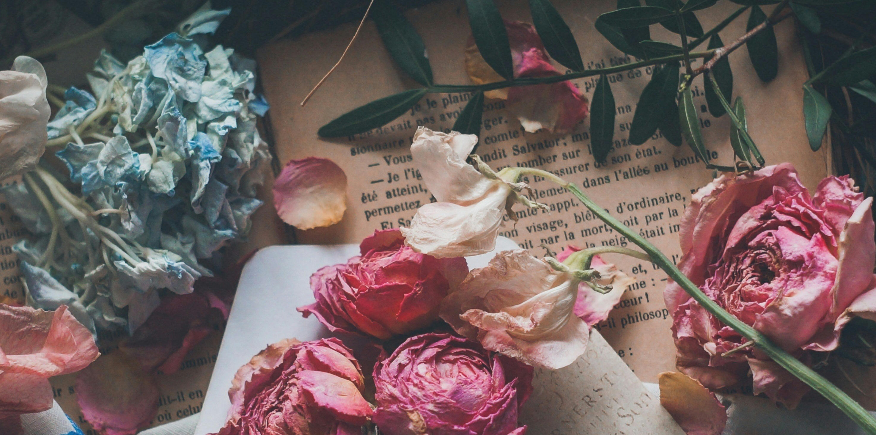 There is a french text on what looks like old parchment with a variety of dried flowers on it. the flowers are light pink, white, and light blue